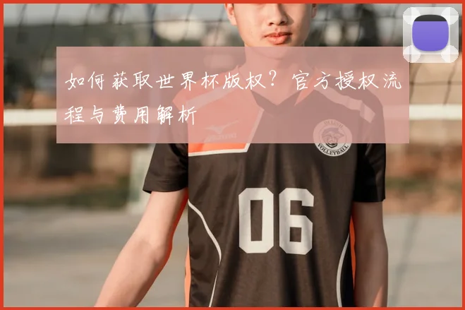 如何获取世界杯版权？官方授权流程与费用解析