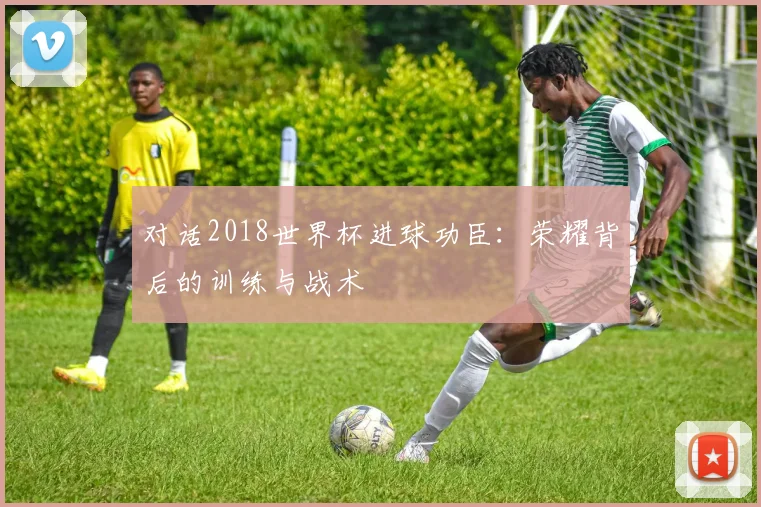 对话2018世界杯进球功臣：荣耀背后的训练与战术