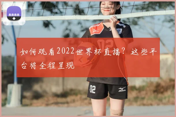 如何观看2022世界杯直播？这些平台将全程呈现