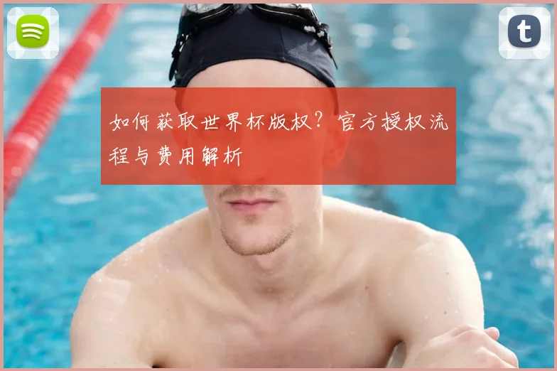 如何获取世界杯版权？官方授权流程与费用解析