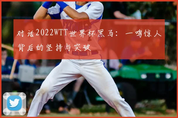 对话2022WTT世界杯黑马：一鸣惊人背后的坚持与突破