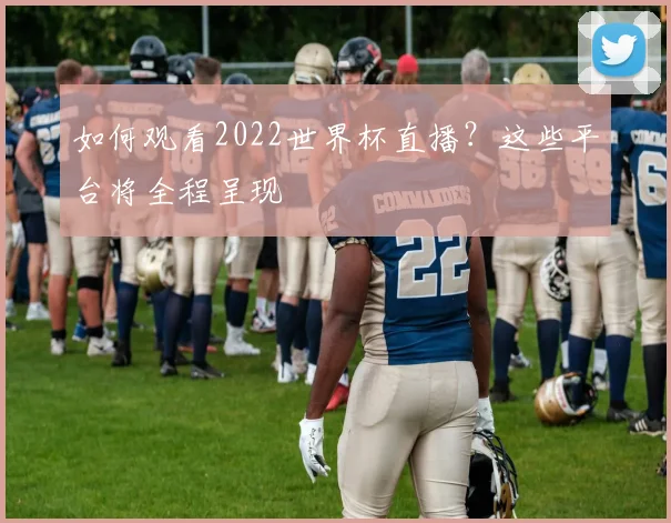 如何观看2022世界杯直播？这些平台将全程呈现