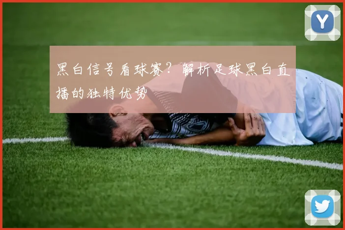 黑白信号看球赛？解析足球黑白直播的独特优势
