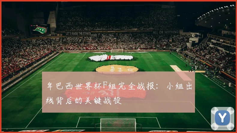 年巴西世界杯F组完全战报：小组出线背后的关键战役