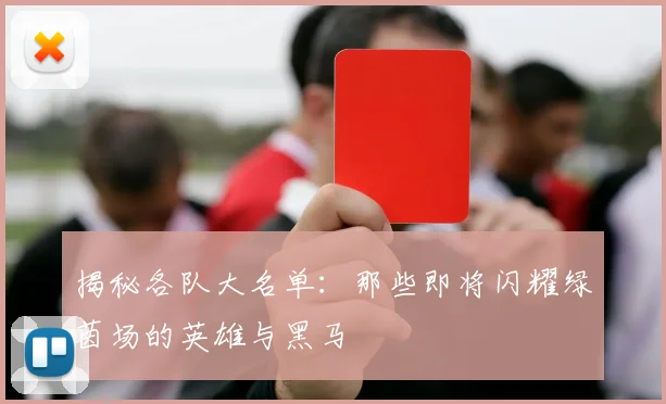 揭秘各队大名单：那些即将闪耀绿茵场的英雄与黑马