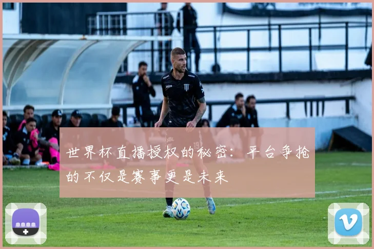 世界杯直播授权的秘密：平台争抢的不仅是赛事更是未来