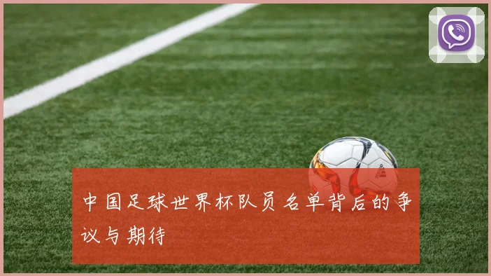 中国足球世界杯队员名单背后的争议与期待