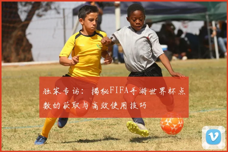 独家专访：揭秘FIFA手游世界杯点数的获取与高效使用技巧
